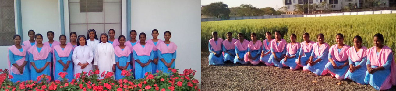 Franciscan Sisters of the Presentation of the Blessed Virgin Mary